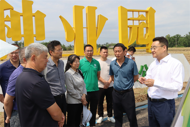 1652262395202567.jpg IMG_4199.jpg