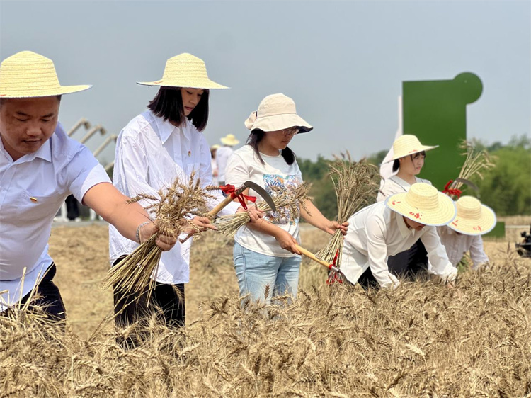 1684399390103155.jpg 图片2.jpg