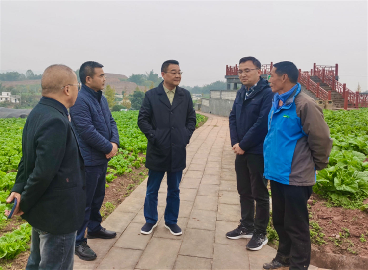 1701931206358491.jpg 图片2.jpg