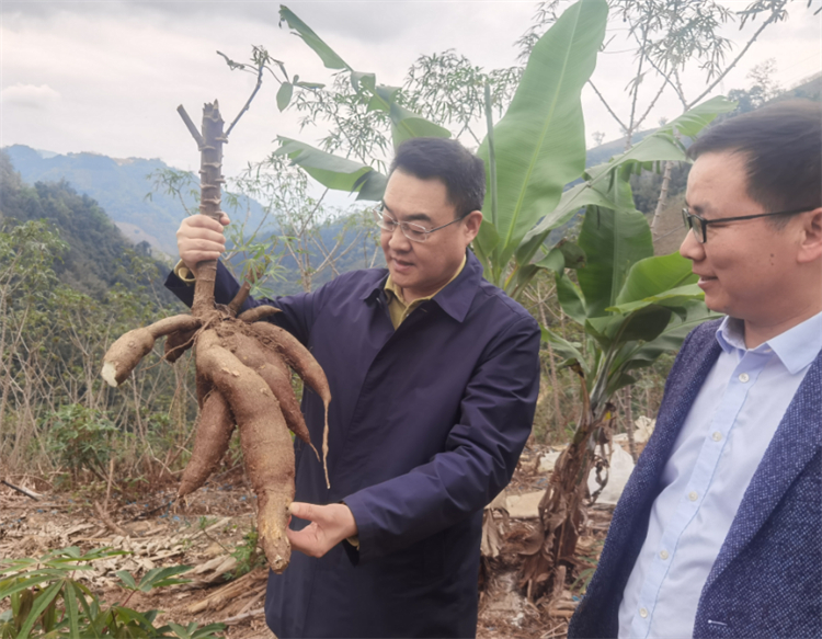 1711097872281889.jpg 图片2.jpg