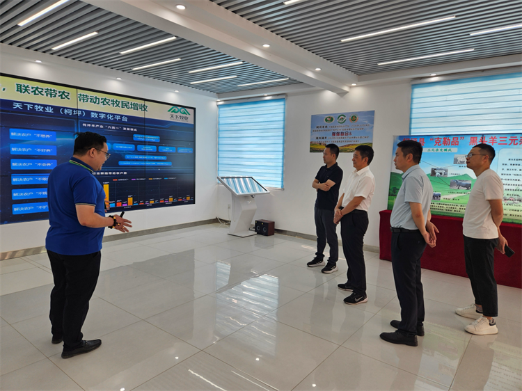 1724396212699196.png 图片1.png